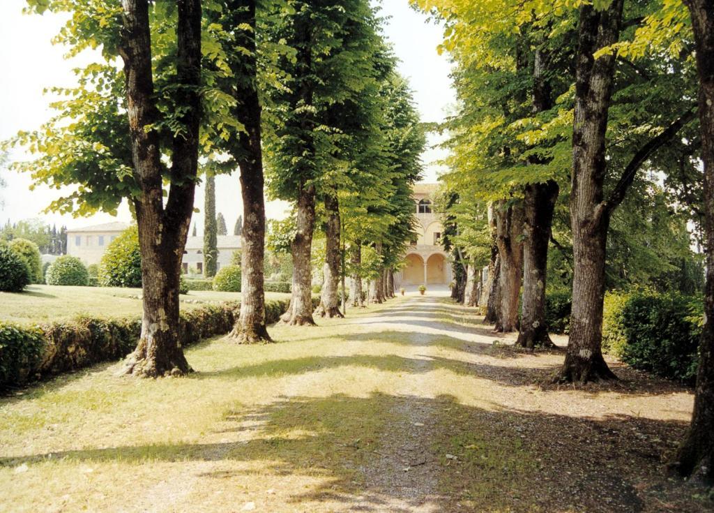 בית הארחה Corsano  	Castello Di Grotti חדר תמונה